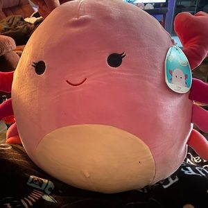 Cailey the Crab 14” Squishmallow BNWT